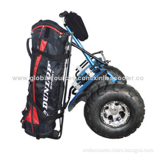 2014 Latest Personal Vehicle Self-balance Golf Scooters